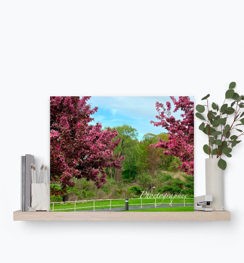 Hey Mama (Mother's Day Special)